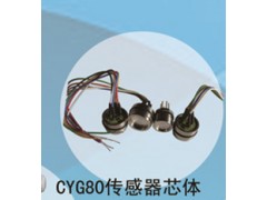 兆恒傳感器廠價供應(yīng)CYG80傳感器芯體