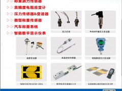 廣東華蘭海電測入刊上海世環(huán)會(huì)特刊《儀表與測量控制》系列客戶報(bào)道40